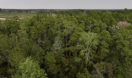Photo #25 of SOLD property in Off Hwy 306, Grantsboro, NC 31.8 acres