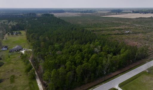 Photo #29 of SOLD property in Off Hwy 306, Grantsboro, NC 31.8 acres