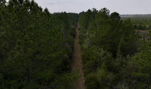 Photo #33 of SOLD property in Off Hwy 306, Grantsboro, NC 31.8 acres