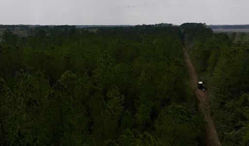Photo #37 of SOLD property in Off Hwy 306, Grantsboro, NC 31.8 acres