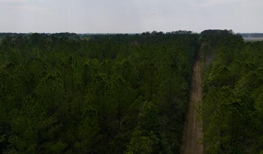 Photo #38 of SOLD property in Off Hwy 306, Grantsboro, NC 31.8 acres