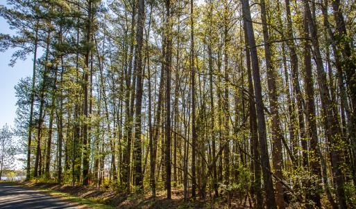 Photo #15 of SOLD property in Off Catfish Road, New London, NC 1.5 acres