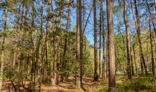 Photo #17 of SOLD property in Off Catfish Road, New London, NC 1.5 acres