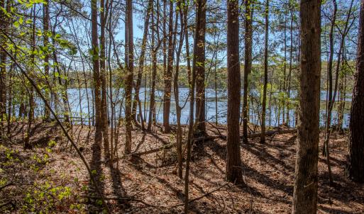 Photo #19 of SOLD property in Off Catfish Road, New London, NC 1.5 acres