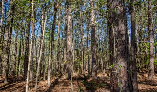 Photo #20 of SOLD property in Off Catfish Road, New London, NC 1.5 acres