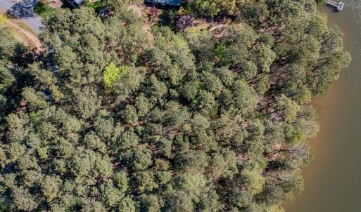 Photo #6 of SOLD property in Off Catfish Road, New London, NC 1.5 acres