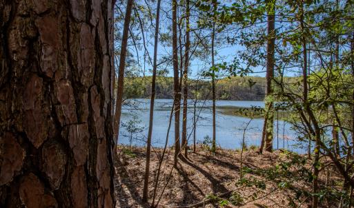 Photo #21 of SOLD property in Off Catfish Road, New London, NC 1.5 acres