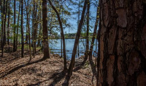 Photo #22 of SOLD property in Off Catfish Road, New London, NC 1.5 acres