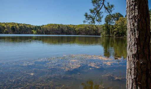 Photo #23 of SOLD property in Off Catfish Road, New London, NC 1.5 acres