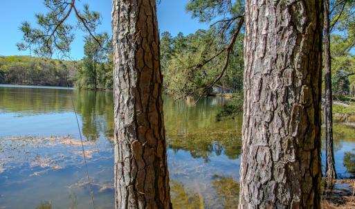 Photo #24 of SOLD property in Off Catfish Road, New London, NC 1.5 acres