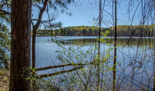 Photo #25 of SOLD property in Off Catfish Road, New London, NC 1.5 acres