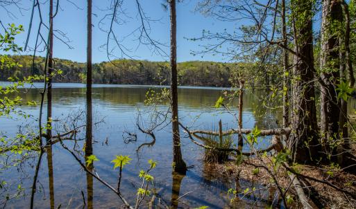 Photo #26 of SOLD property in Off Catfish Road, New London, NC 1.5 acres