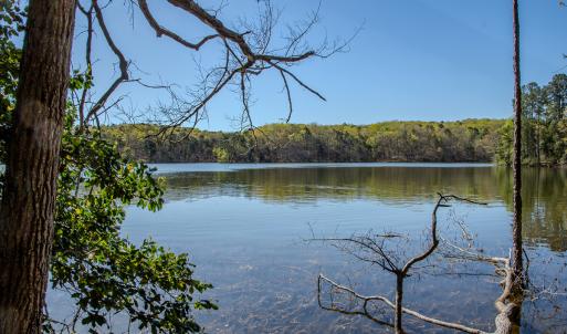 Photo #27 of SOLD property in Off Catfish Road, New London, NC 1.5 acres
