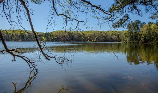 Photo #28 of SOLD property in Off Catfish Road, New London, NC 1.5 acres