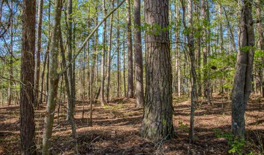 Photo #30 of SOLD property in Off Catfish Road, New London, NC 1.5 acres