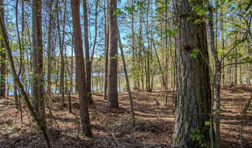 Photo #31 of SOLD property in Off Catfish Road, New London, NC 1.5 acres