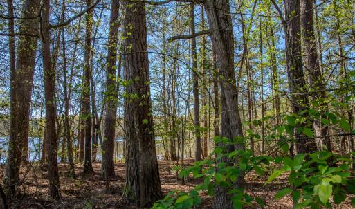 Photo #32 of SOLD property in Off Catfish Road, New London, NC 1.5 acres