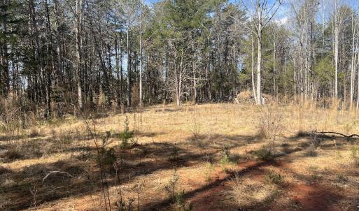 Photo #5 of SOLD property in 450 Powell Bridge Rd, Harmony, NC 10.9 acres