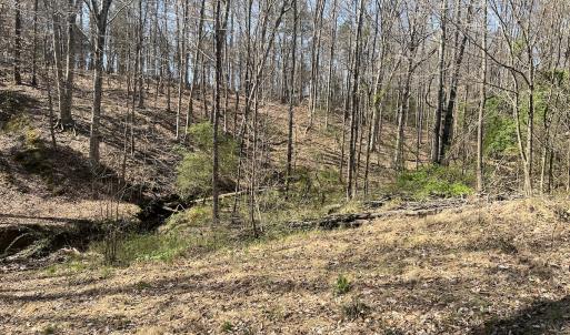 Photo #7 of SOLD property in 450 Powell Bridge Rd, Harmony, NC 10.9 acres
