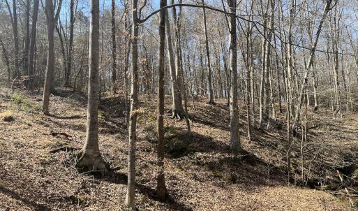 Photo #8 of SOLD property in 450 Powell Bridge Rd, Harmony, NC 10.9 acres
