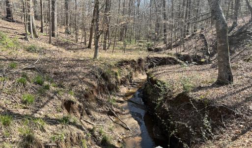 Photo #9 of SOLD property in 450 Powell Bridge Rd, Harmony, NC 10.9 acres
