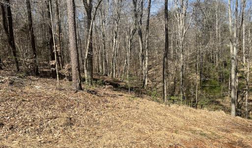 Photo #10 of SOLD property in 450 Powell Bridge Rd, Harmony, NC 10.9 acres