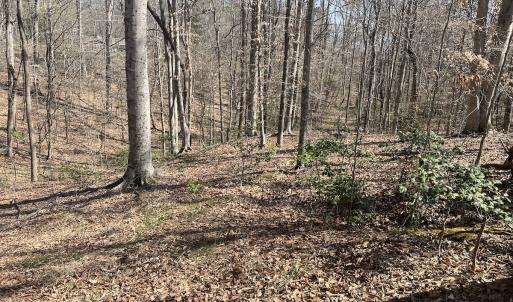 Photo #11 of SOLD property in 450 Powell Bridge Rd, Harmony, NC 10.9 acres