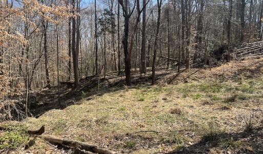 Photo #12 of SOLD property in 450 Powell Bridge Rd, Harmony, NC 10.9 acres