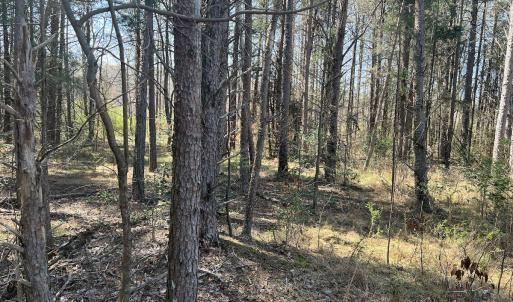Photo #13 of SOLD property in 450 Powell Bridge Rd, Harmony, NC 10.9 acres