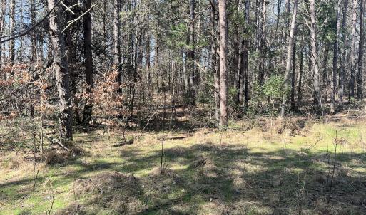 Photo #14 of SOLD property in 450 Powell Bridge Rd, Harmony, NC 10.9 acres