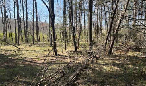 Photo #15 of SOLD property in 450 Powell Bridge Rd, Harmony, NC 10.9 acres