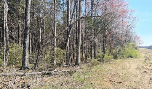Photo #16 of SOLD property in 450 Powell Bridge Rd, Harmony, NC 10.9 acres
