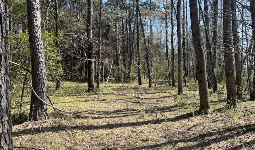 Photo #17 of SOLD property in 450 Powell Bridge Rd, Harmony, NC 10.9 acres