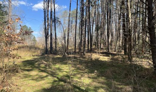Photo #18 of SOLD property in 450 Powell Bridge Rd, Harmony, NC 10.9 acres