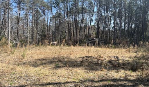 Photo #19 of SOLD property in 450 Powell Bridge Rd, Harmony, NC 10.9 acres