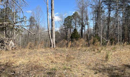 Photo #20 of SOLD property in 450 Powell Bridge Rd, Harmony, NC 10.9 acres