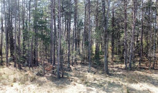 Photo #6 of SOLD property in 450 Powell Bridge Rd, Harmony, NC 10.9 acres