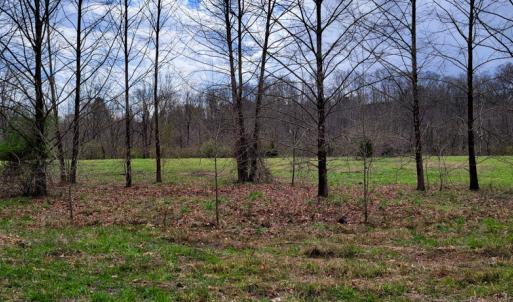 Photo #5 of Off Elwood Dr, Hot Springs, VA 1.3 acres