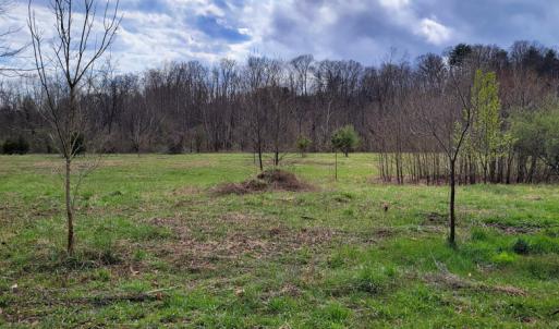 Photo #5 of Off Elwood Dr, Hot Springs, VA 1.3 acres