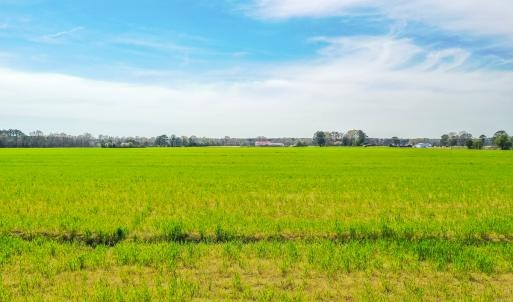 Photo #11 of Off Battlefield Blvd S, Chesapeake, VA 58.8 acres