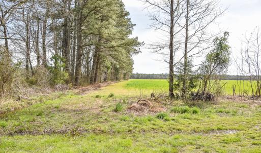 Photo #20 of Off Battlefield Blvd S, Chesapeake, VA 58.8 acres