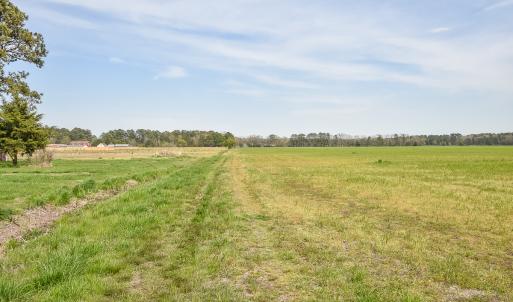Photo #21 of Off Battlefield Blvd S, Chesapeake, VA 58.8 acres