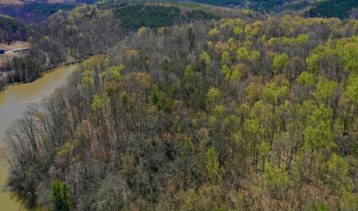Photo #8 of SOLD property in Off Drawbridge Rd, Pittsville, VA 18.1 acres