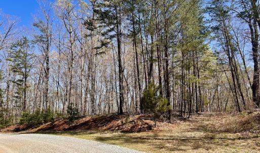 Photo #16 of SOLD property in Off Drawbridge Rd, Pittsville, VA 18.1 acres