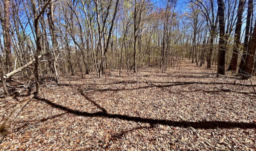 Photo #17 of SOLD property in Off Drawbridge Rd, Pittsville, VA 18.1 acres