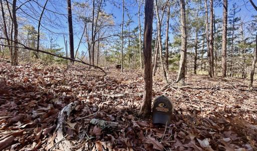 Photo #20 of SOLD property in Off Drawbridge Rd, Pittsville, VA 18.1 acres