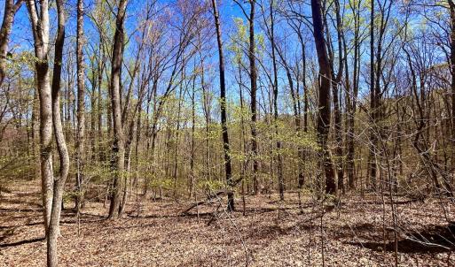 Photo #21 of SOLD property in Off Drawbridge Rd, Pittsville, VA 18.1 acres