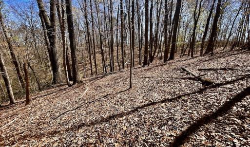 Photo #25 of SOLD property in Off Drawbridge Rd, Pittsville, VA 18.1 acres
