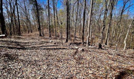 Photo #26 of SOLD property in Off Drawbridge Rd, Pittsville, VA 18.1 acres