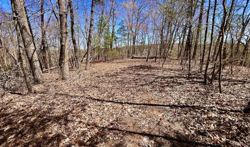 Photo #27 of SOLD property in Off Drawbridge Rd, Pittsville, VA 18.1 acres